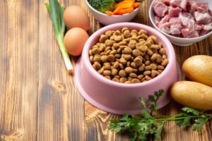 How to Choose the Best Pet Food for Your Dog: A Complete Guide