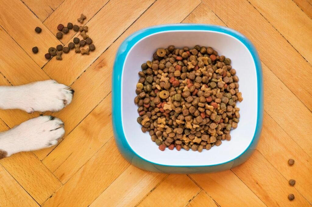 Pet Nutrition