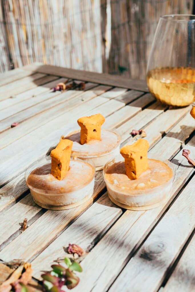 Healthy Treats for Dogs and Cats: How to Reward Without Overfeeding — related pet care image 1